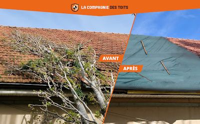 La Compagnie des Toits - Rhône Sud (étancheur / Couvreur)