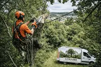 Lemaire Élagage Abattage