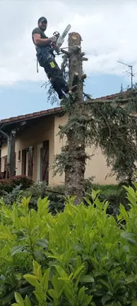 Balland Entretien Espace Vert Elagueur Paysagiste Terrassier Beynost Montluel la Boisse Rillieux la Pape Meyzieu Pusignan