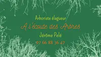 A l'Écoute des Arbres - Arboriste Élagueur
