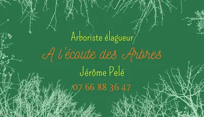 A l'Écoute des Arbres - Arboriste Élagueur