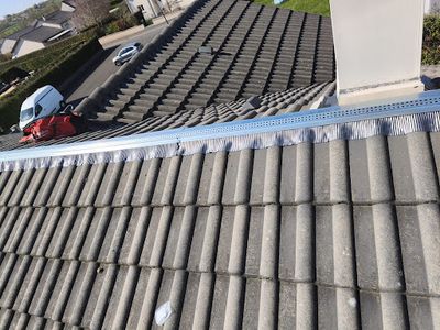 Proclean Toiture