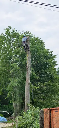 Hd Service