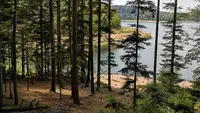 Spikerope Elagage