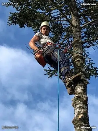 Naturaforest