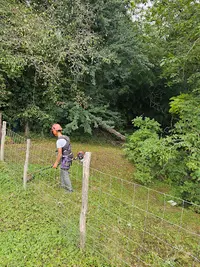 Élagage Mont-de-marsan