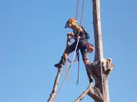 Equilibre, Élagage