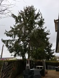 Elagueur Jardinier Paysagiste Montargis