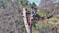 French Riviera Gardener