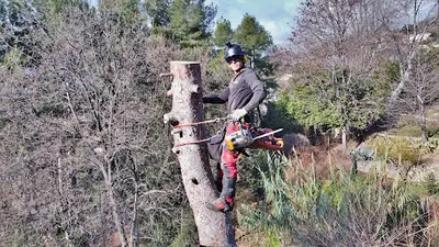French Riviera Gardener