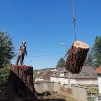 Végétaille