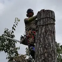 A Bout de Branche Drôme Ardeche