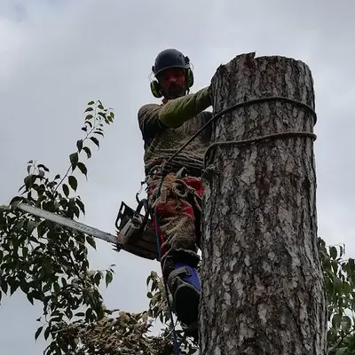 A Bout de Branche Drôme Ardeche