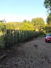 H Élagage