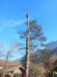 Hauteur Nature Élagage