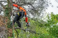 Abc Environnement Sas