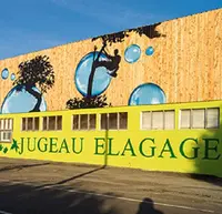 Jugeau-elagage - Taille Abattage d'Arbres - Rognage de Souches