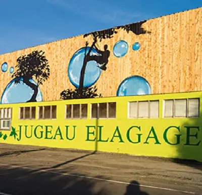 Jugeau-elagage - Taille Abattage d'Arbres - Rognage de Souches