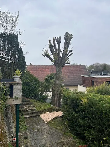 Jeff Élagage Perche