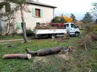 Élagage Riviere Remi