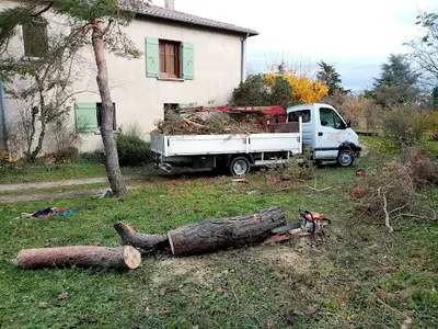 Élagage Riviere Remi