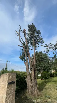 Sos Elagage
