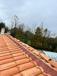 Ovalie Couverture