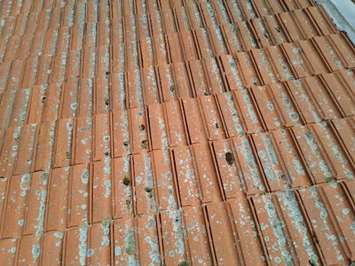 Aj Renovation Couvreur Ravalement Demoussage Toiture Nancy 54