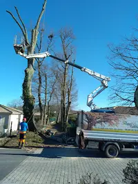Naturelagage