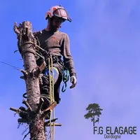 Fg Élagage