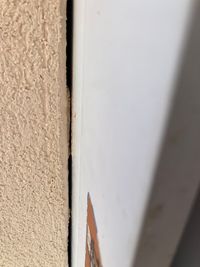 Deco Bat Sud