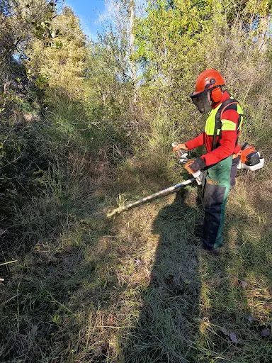 Paca Débroussaillage06 Élagage, Abattage et Débroussaillage À Nice et Dans les Alpes-maritimes