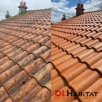 Dl Habitat (couvreur/réparation/démoussage/traitement Toiture)