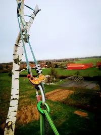 l'Arbre en Nord
