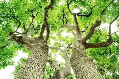 Grand Eure Nature