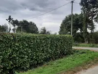 Jardinier Noyal sur Vilaine