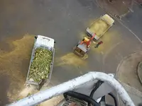 Naturea Élagage/ Abattage/dessouchage