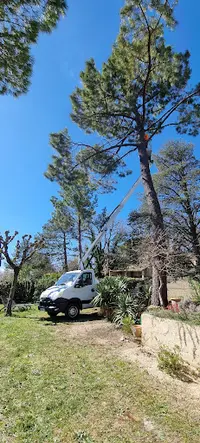 Integral Elagage Elagueur Jardinier Paysagiste Orange