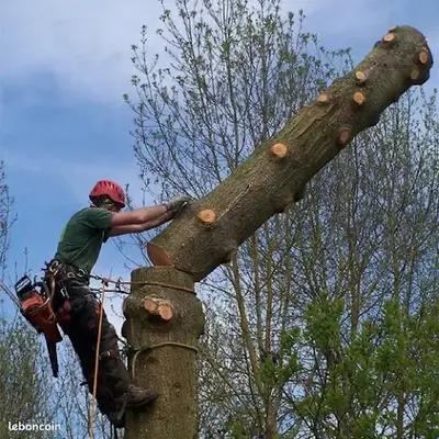 Ent. Cresson Élagage 45 🌳