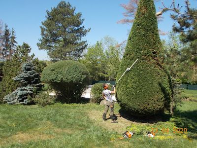 Ejvdm Elagage Jardinage & Paysage