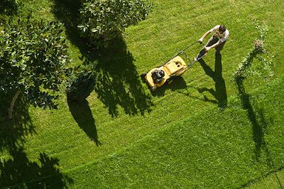 Jardiniers Picque