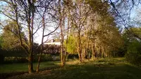 Élagage des Vallons de l'Erdre