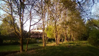 Élagage des Vallons de l'Erdre