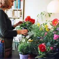 Ma Petite Jardinière