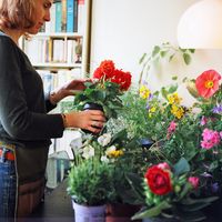 Ma Petite Jardinière