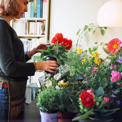 Ma Petite Jardinière