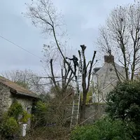 Elagueur-grimpeur