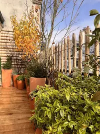 Le Jardinier de Montmartre