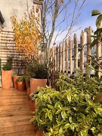 Le Jardinier de Montmartre