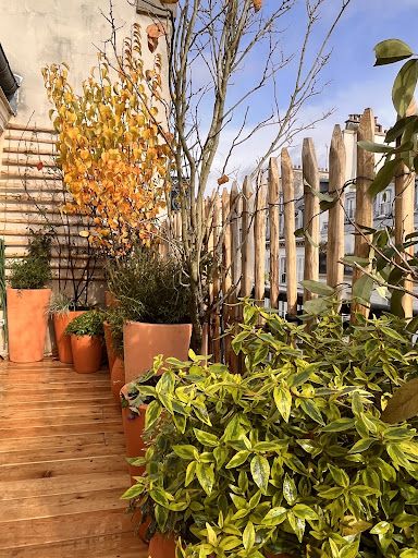 Le Jardinier de Montmartre
